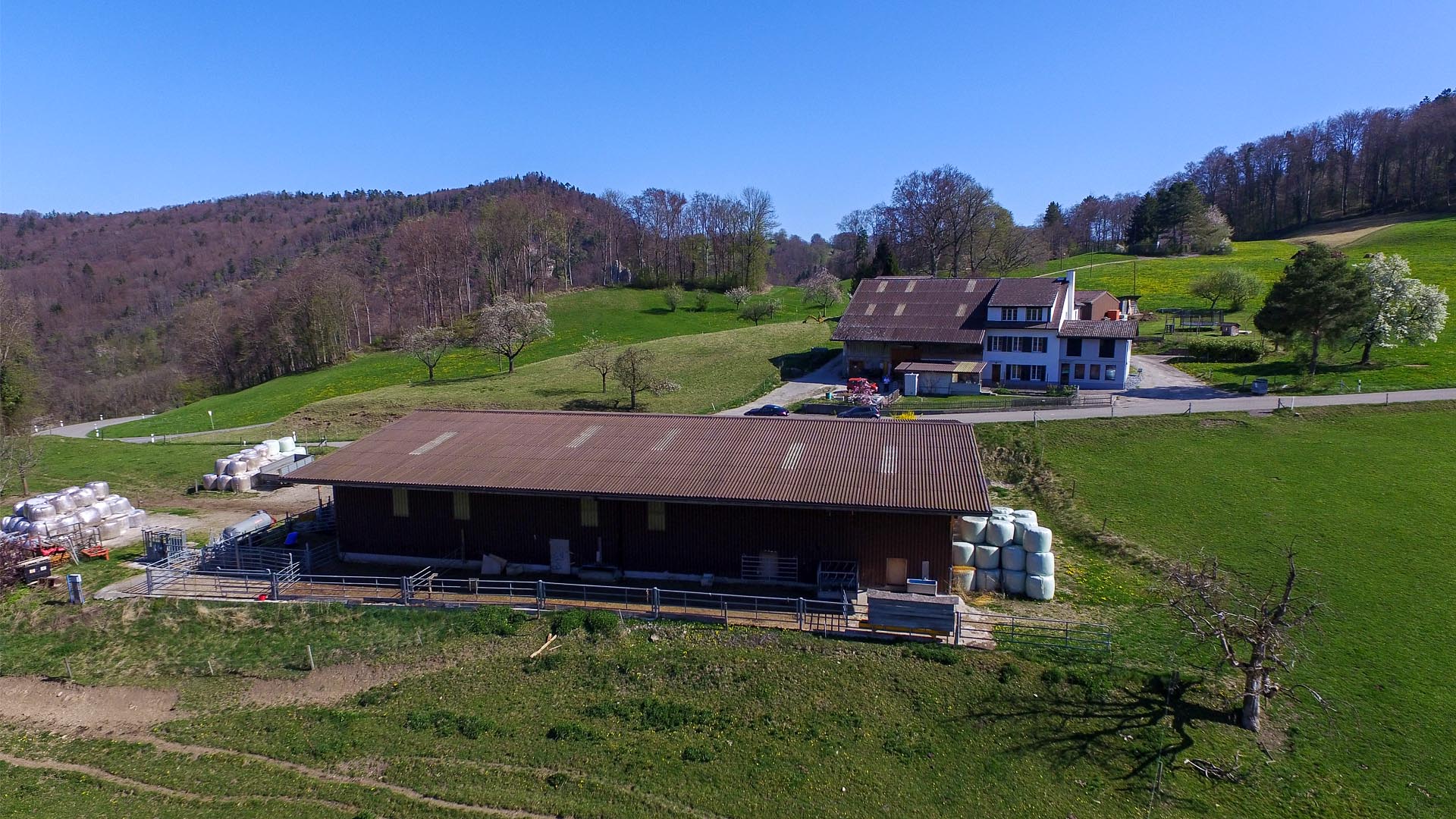 Hof-Hoggen_Aberdeen-Angus_Slider-Betrieb-A