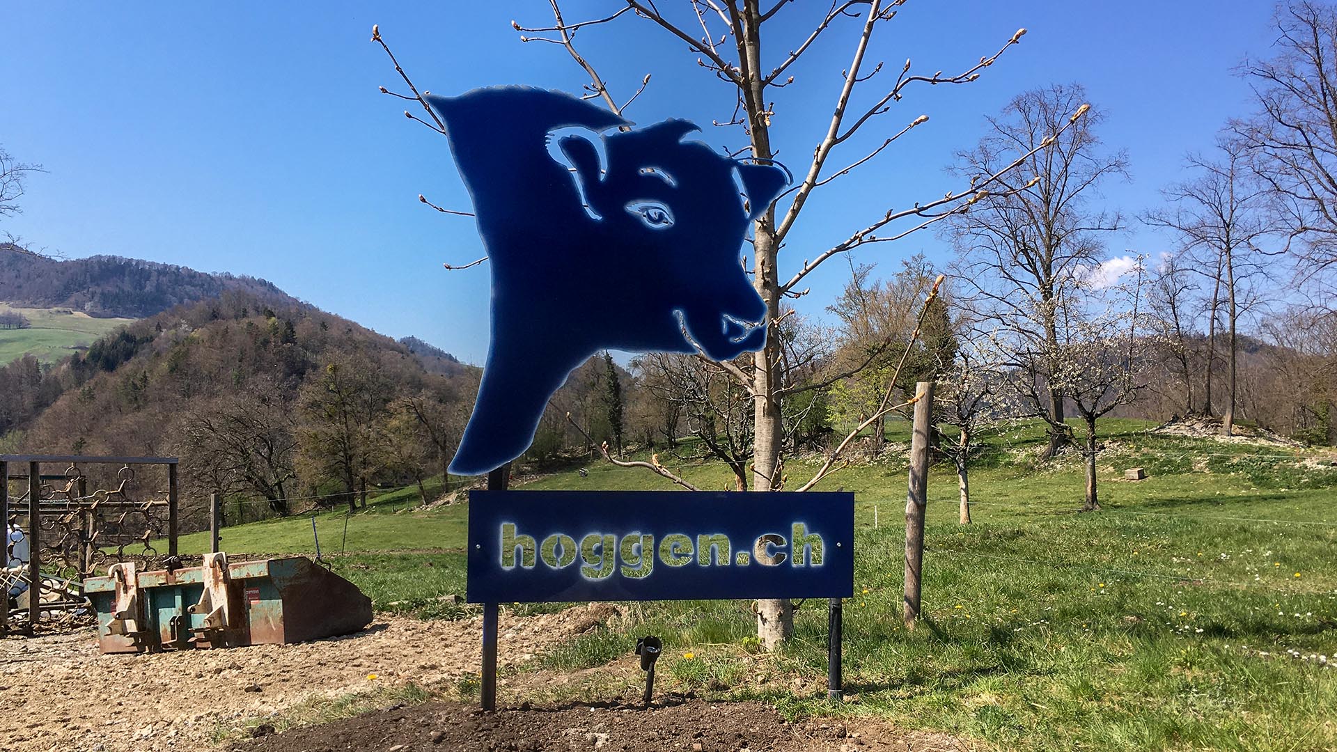 Hof-Hoggen_Aberdeen-Angus_Slider-Betrieb-B
