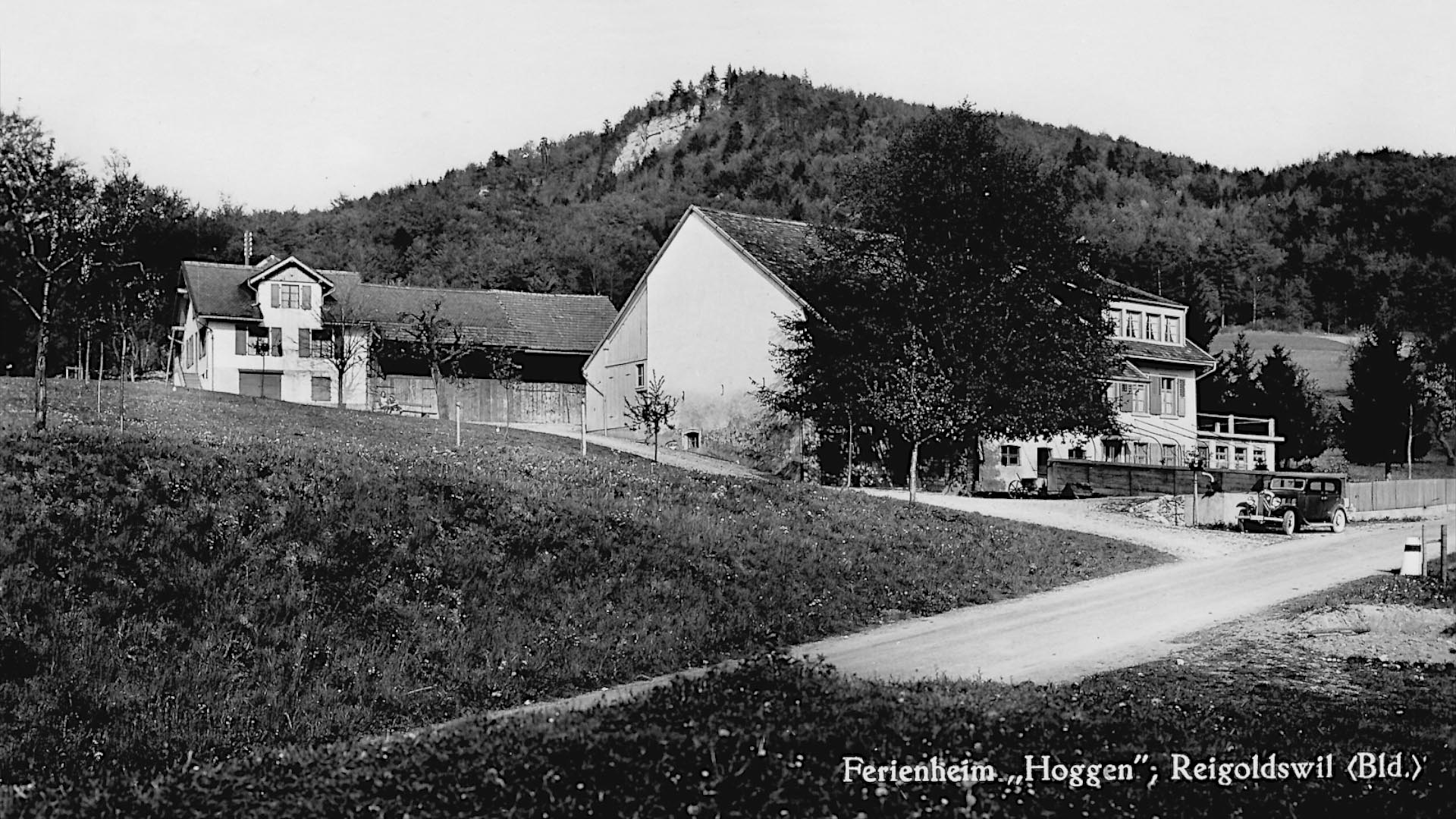 Hof-Hoggen_Aberdeen-Angus_Slider-Betrieb-C