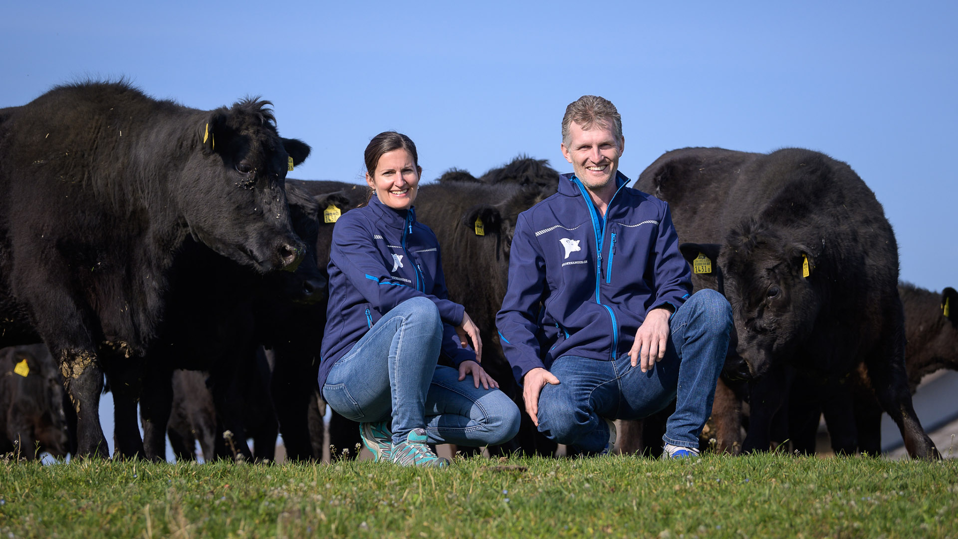 Aberdeen Angus aus Freude mit Leidenschaft