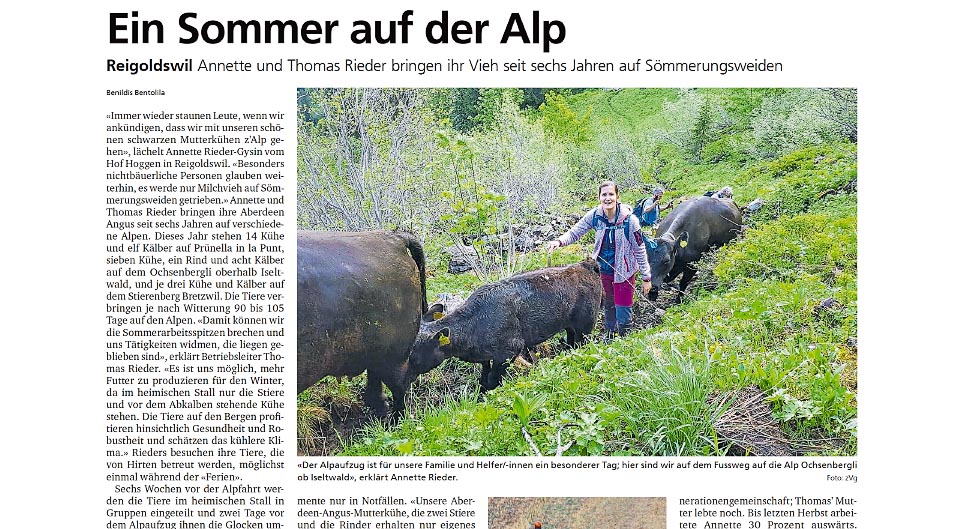 Hof Hoggen Artikel in der ObZ